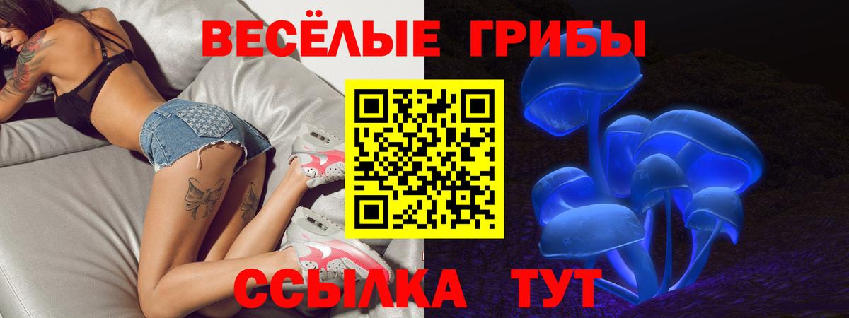 Унеча  Галлюциногенные грибы Cubensis  Вход с VPN  Галлюциногенные грибы Magic Shrooms 